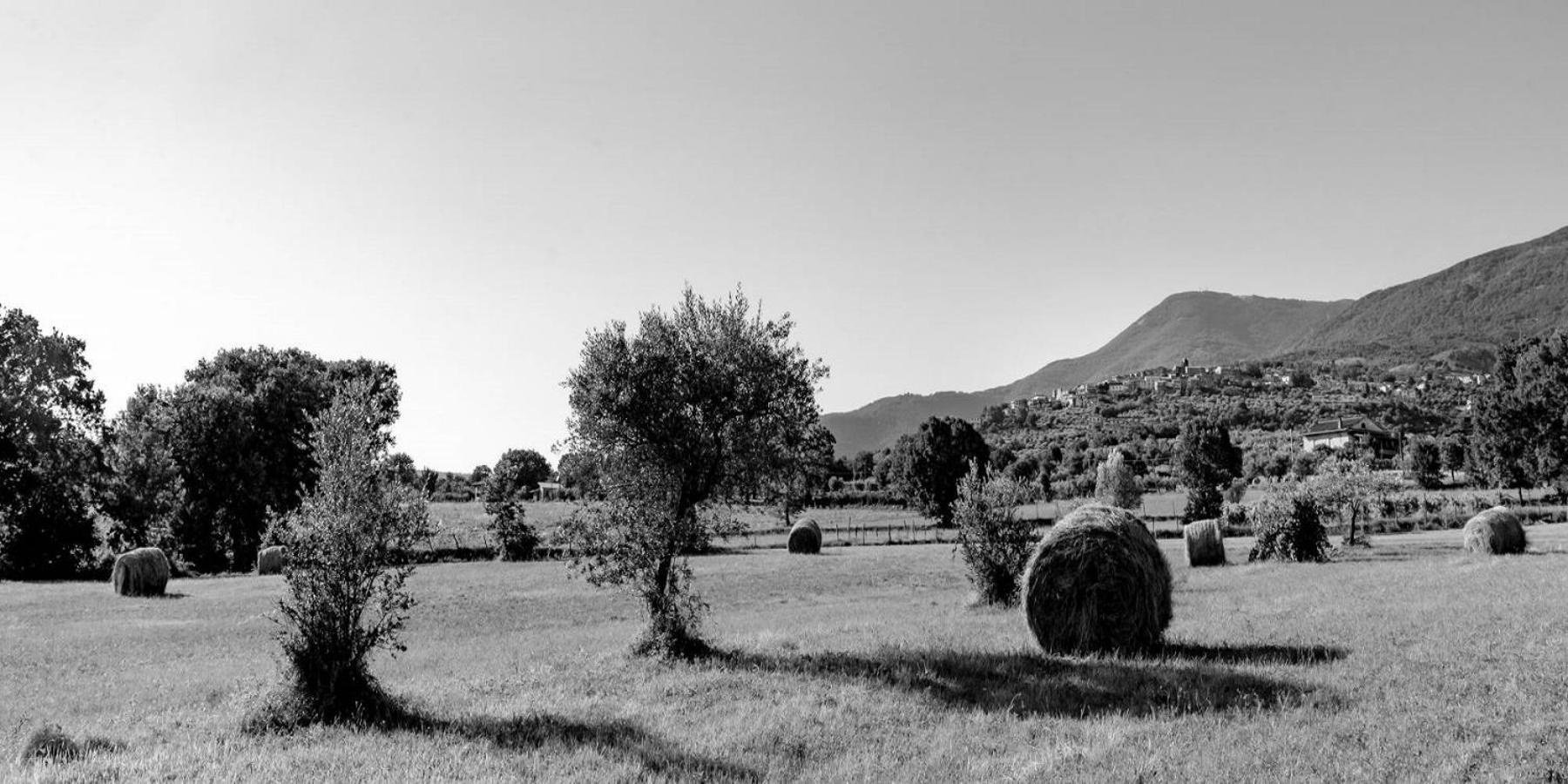 B&B Vico Suites Vico nel Lazio Exterior photo